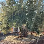 Apartament Secret Garden Lefkada *