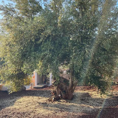 Apartment Secret Garden Lefkada *