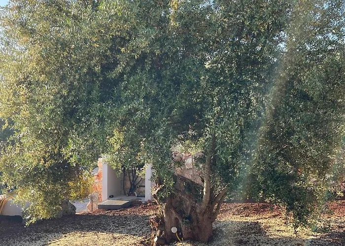 Διαμέρισμα Secret Garden Lefkada *